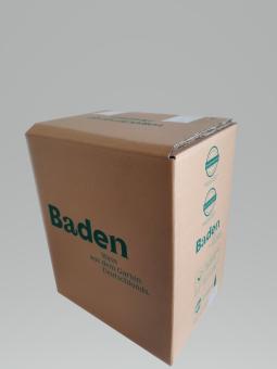 Flaschenversand Verpackung 6er Stehbox Baden Umkarton 